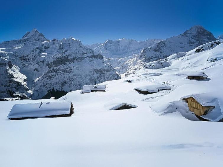 Chalet Aphrodite West Lejlighed Grindelwald Eksteriør billede