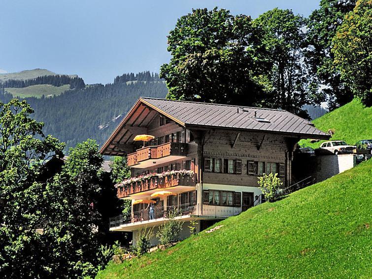 Chalet Aphrodite West Lejlighed Grindelwald Eksteriør billede